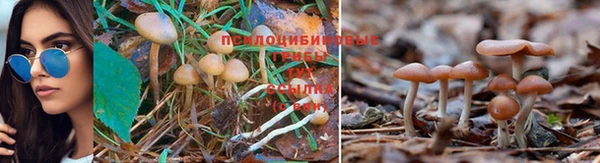 наркотики Алексеевка
