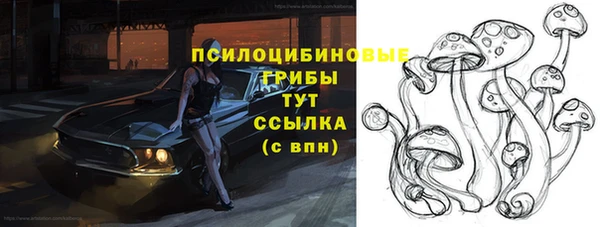 метадон Алексин