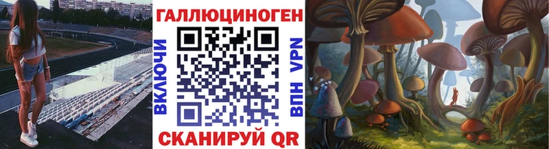 Псилоцибиновые грибы Cubensis  Томари 