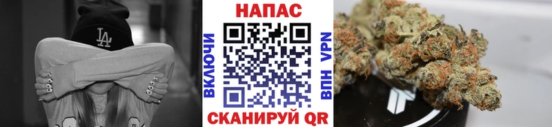 купить  цена  Томари  OMG   Канабис конопля 
